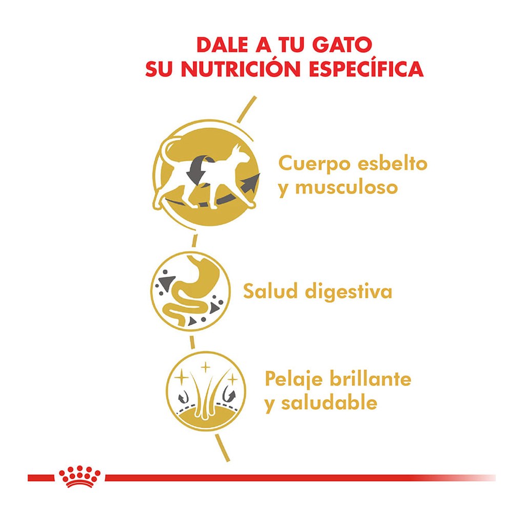 Royal Canin Siamese 1,5Kg – foto 2