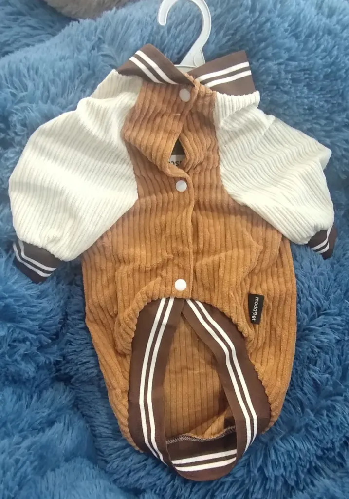 Campera Universitaria XL
