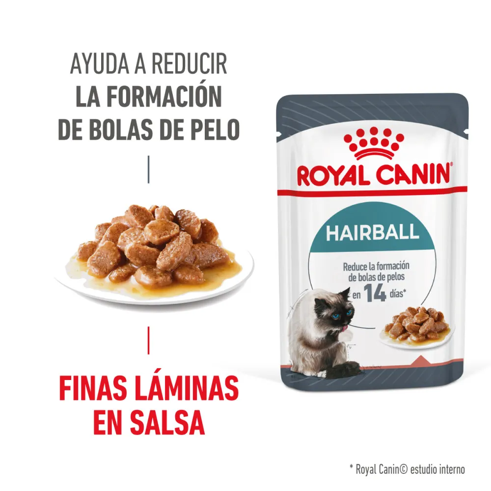 [RCG134] Royal Canin Hairball Care Pouch 85Gr
