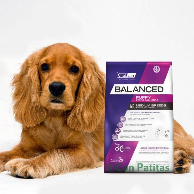Balanced Perro Cachorro Raza Mediana X 3Kg
