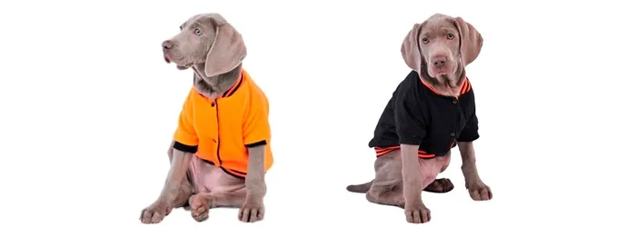 [ROP109] Campera Fluor Reversible T30