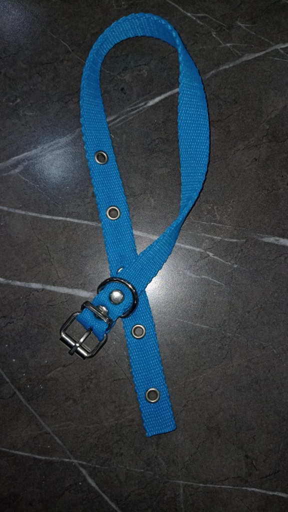 [ACC522] Collar Simple 20Mm X 55C