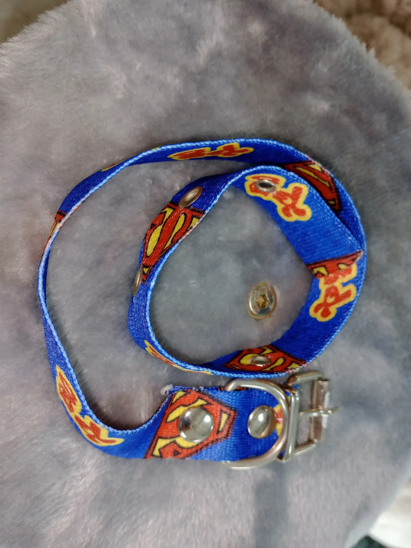 [ACC523] Collar Simple 25Mm X 65C
