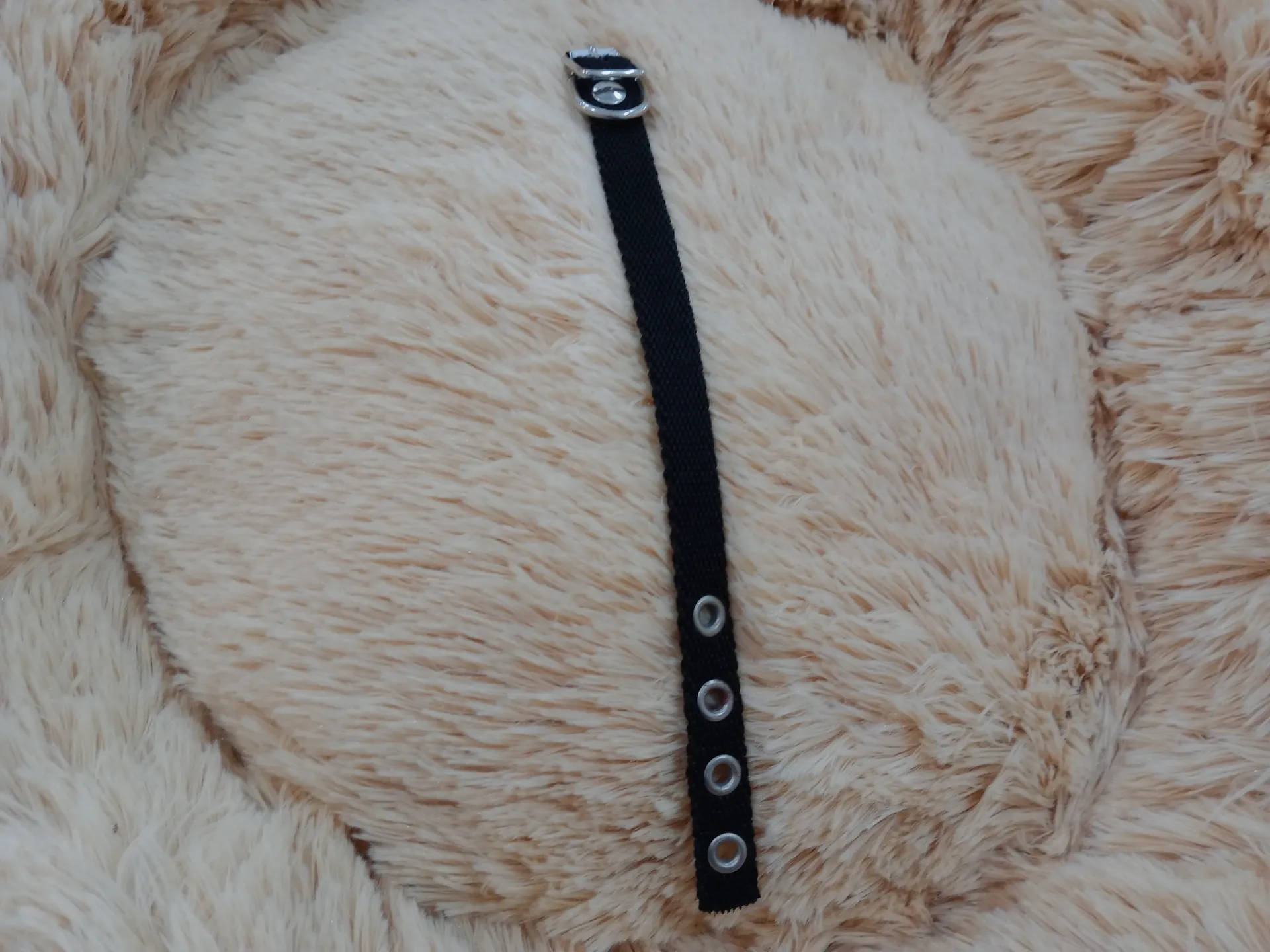 Collar Simple Gato 15Mm