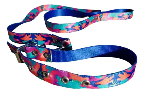 [ACC742] Conjunto Collar/Correa T1