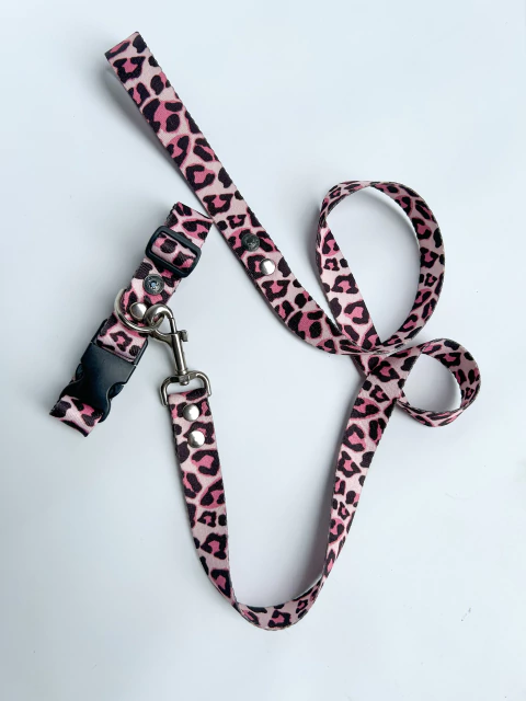 [ACC553] Conjunto N6 Correa Y Collar
