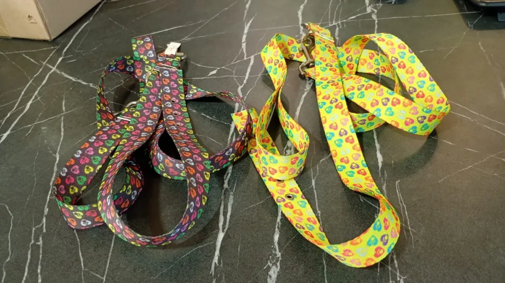 [ACC551] Conjunto N8 Correa Y Collar