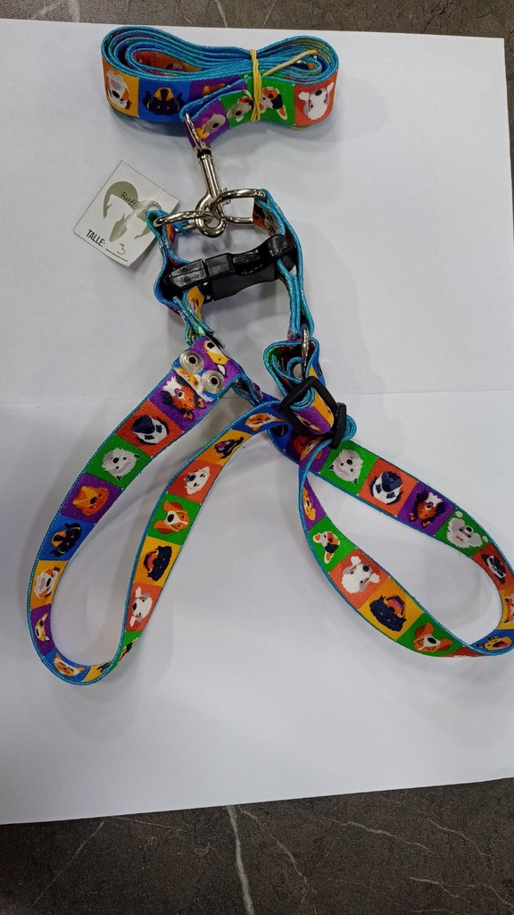 [ACC741] Conjunto Pretal/Correa T3