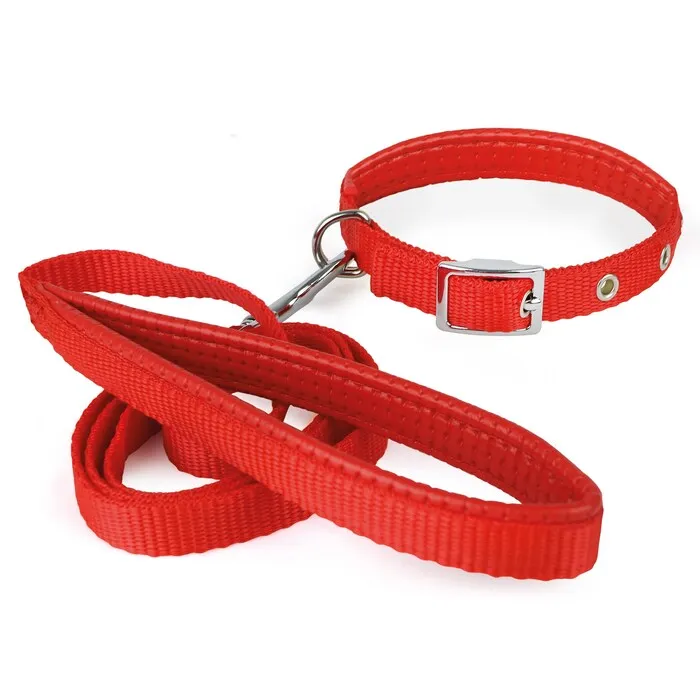 [ACC693] Correa Con Collar Chico