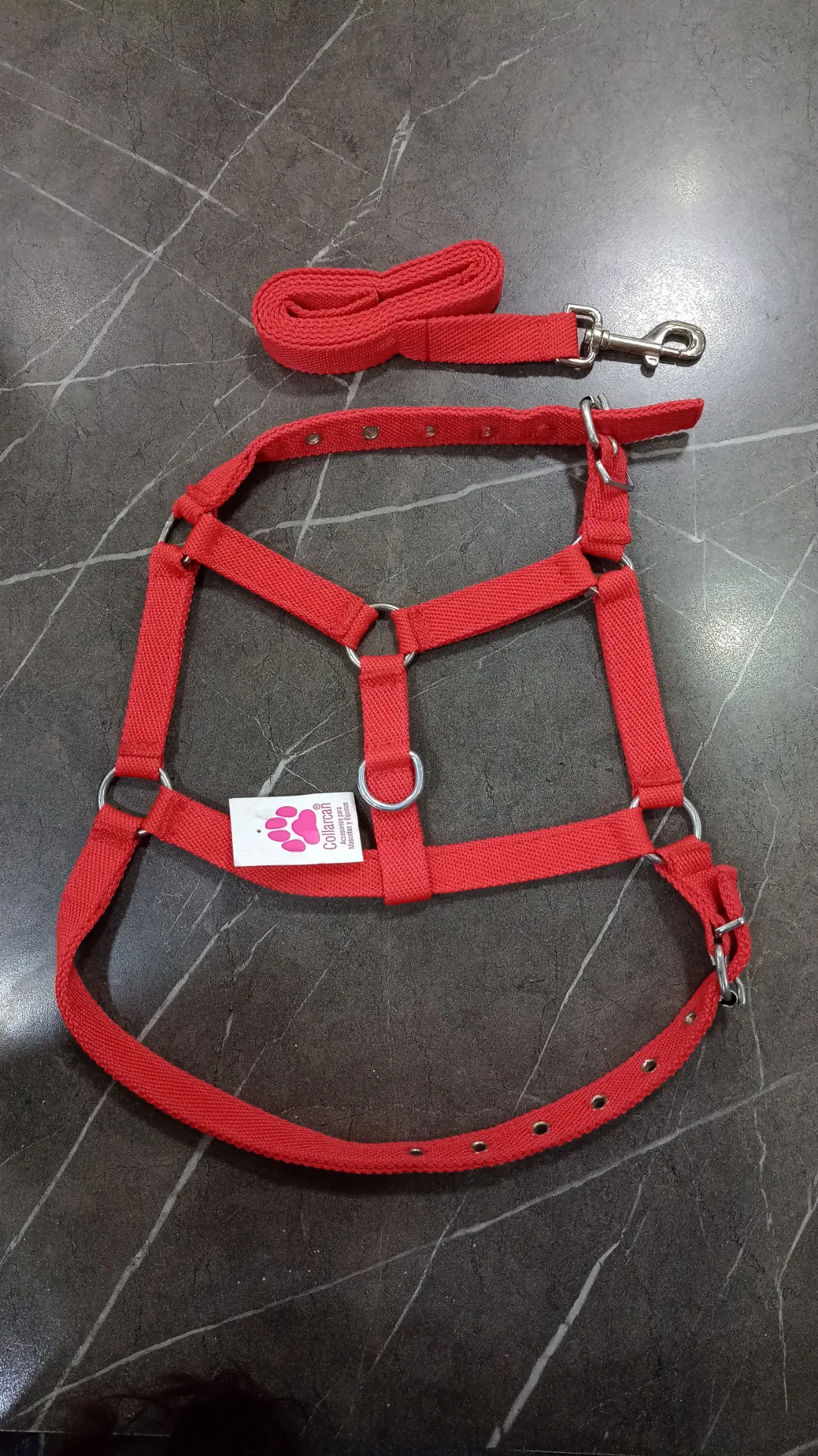[ACC390] Correa Y Pretal Super Reforzado A1 Collar Can