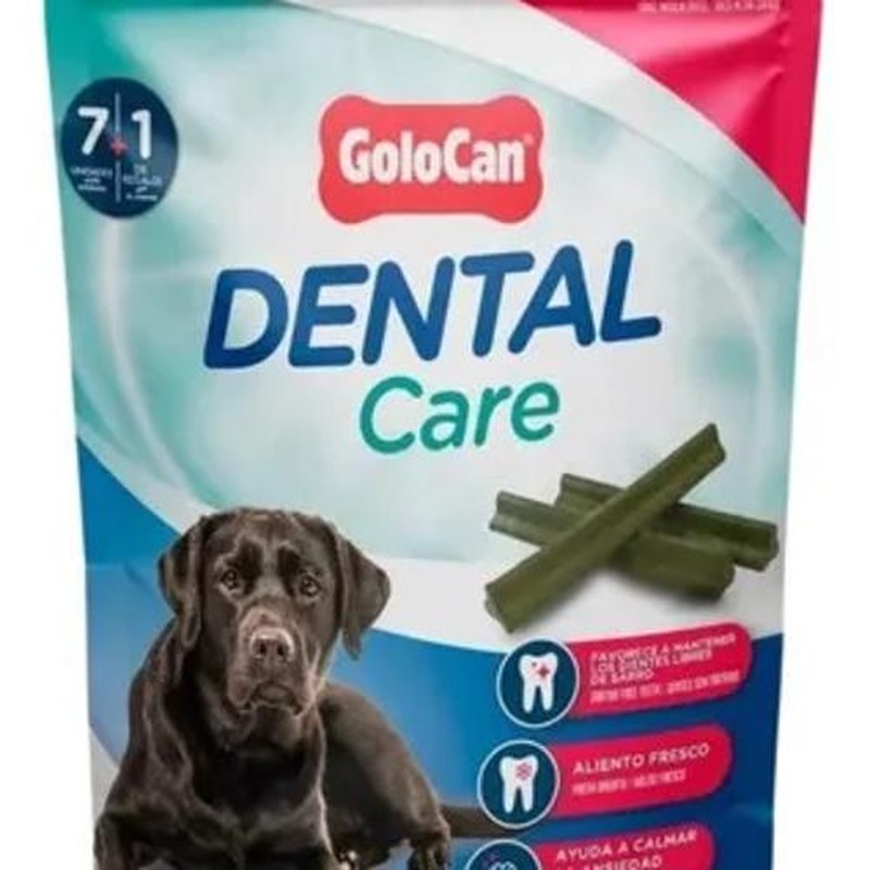 [GOL172] GC Dental Care Mord M/G 200Gr
