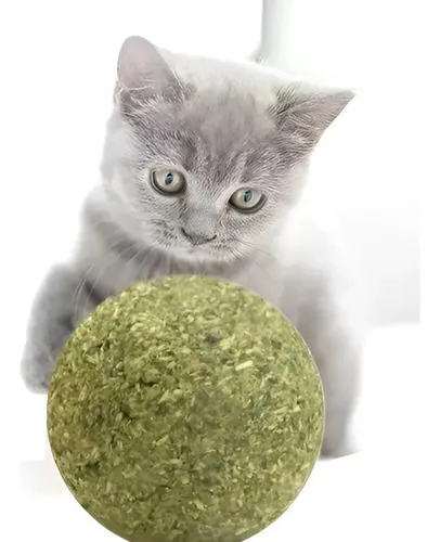 [ALEX039] Hierba Gatera Catnip Repuesto