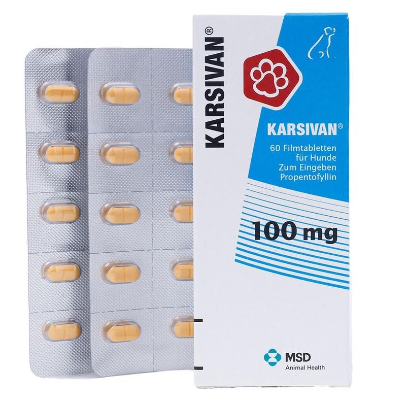 [MED287] Karsivan 100 Blister X 10 Comprimidos