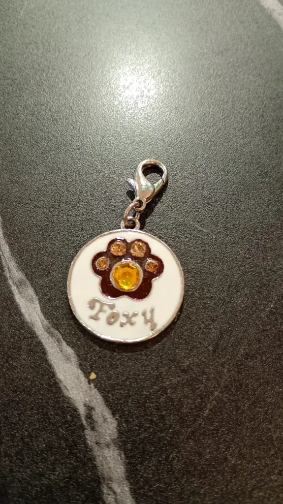 [ACC115] Medalla Foxy