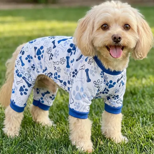 Pijama  T30  Lumpy