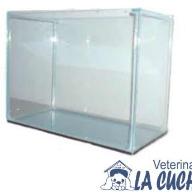 [ACU250] Placa Biológica P/Acuario