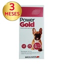 Power Gold (3 Meses) 4,6 A 10Kg