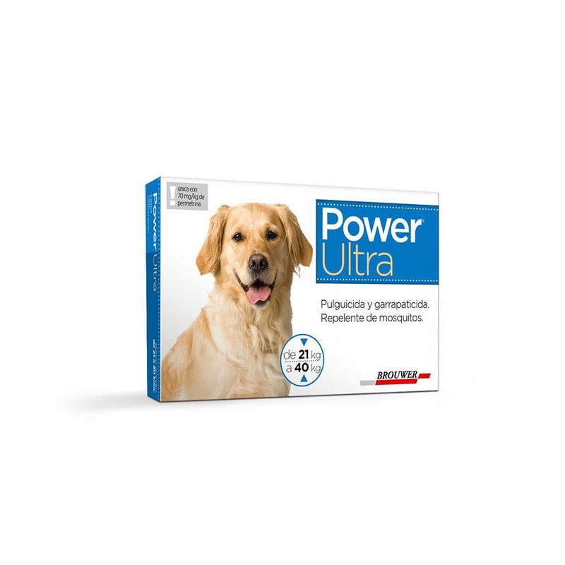 Power Perros De 20 A 40Kg