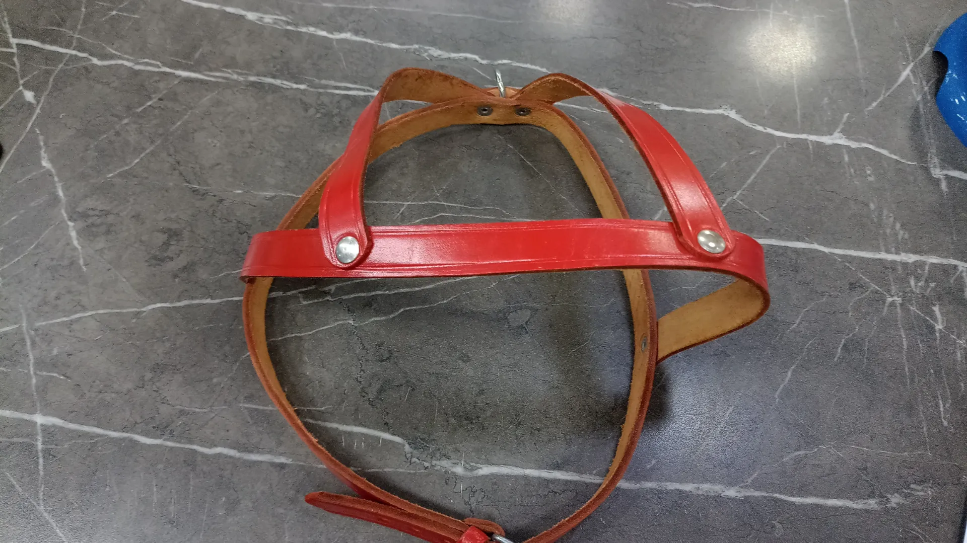 Pretal Cuero Pro Sc Collar Can