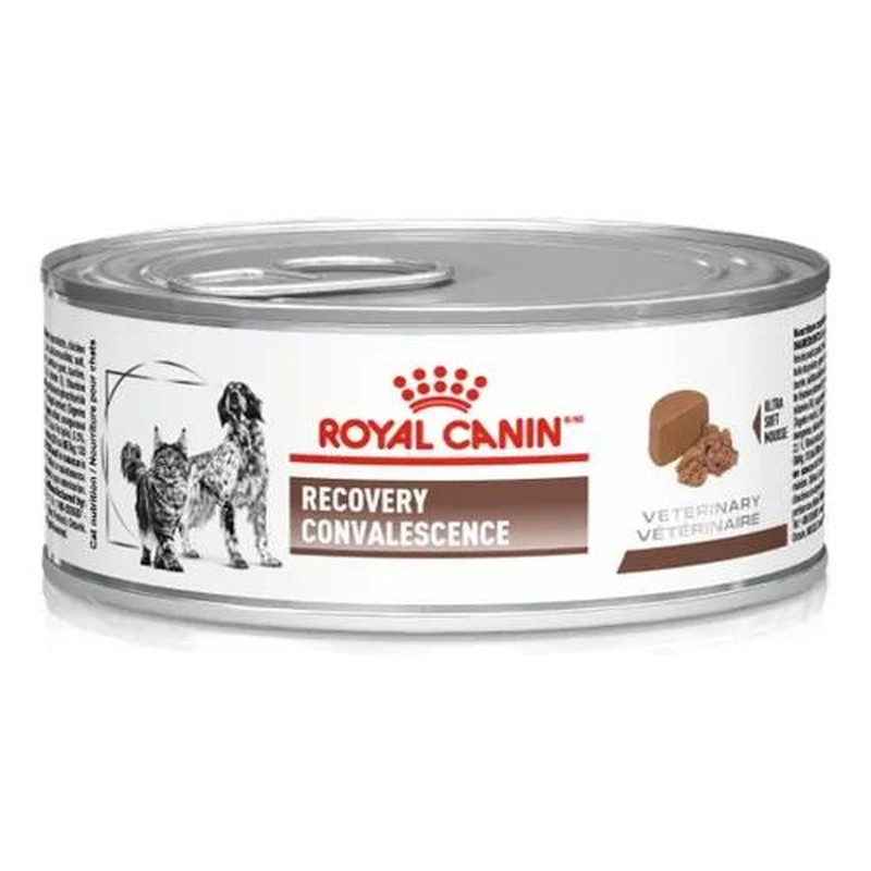 [RCP109] Royal Canin Recovery Dog/Cat X 195Gr