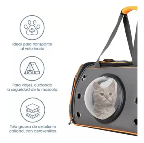 Transportador Con Visor