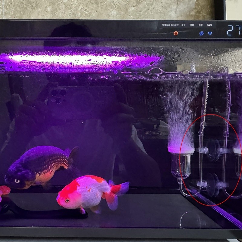 [ACU100] Ventosa Acuario Blister X 24