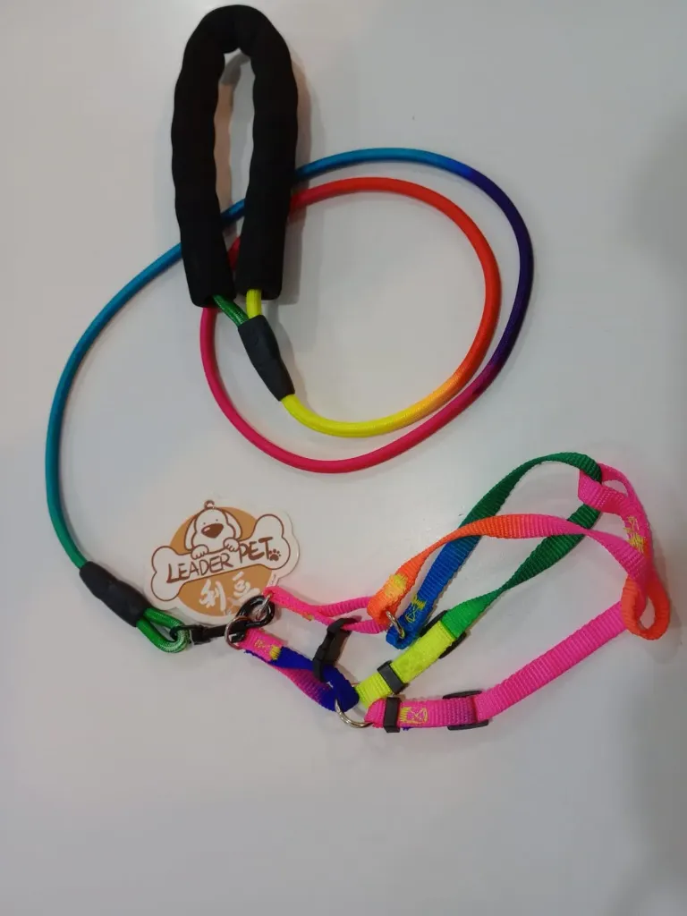 [ACC774] Conjunto Correa/Pretal Alpino Chico Colores